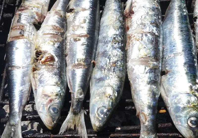 Sardinhas a assar na grelha